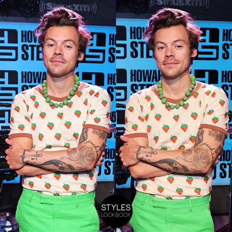 harry styles strawberry shirt.